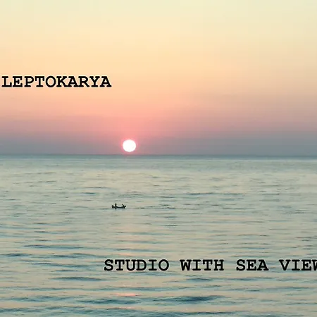 Anastasia Daire Leptokarya (Pieria)